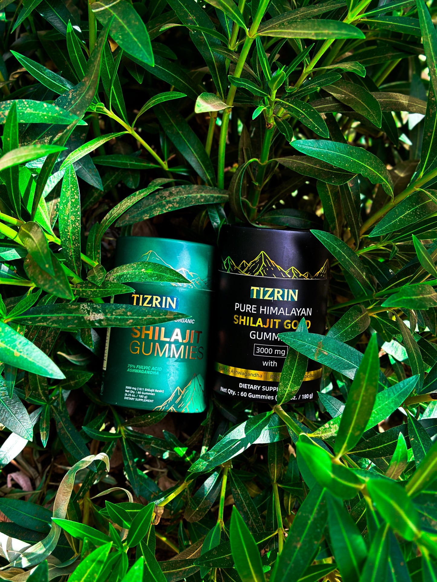 TIZRIN Shilajit Gold Gummies – 3000mg Herbal Blend