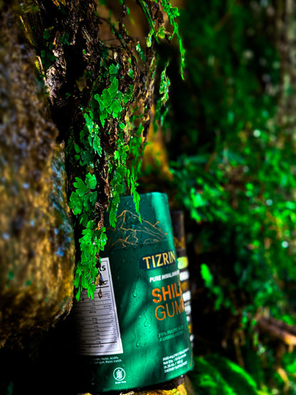 TIZRIN Organic Shilajit Gummies – Strength & Energy Boost